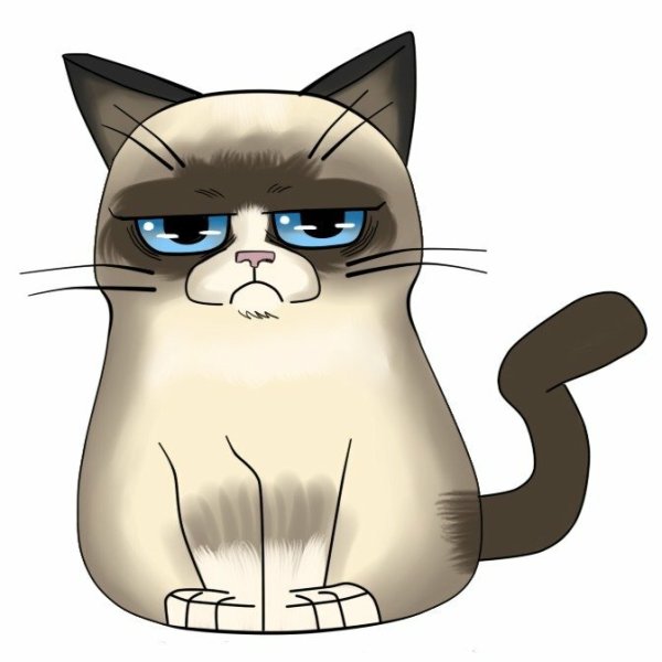 Сердитый кот мультяшный