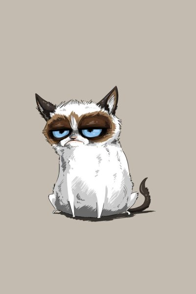Сердитый кот Grumpy Cat