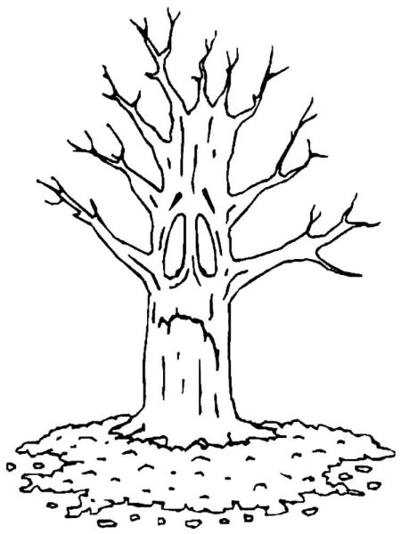 Осеннее дерево раскраска