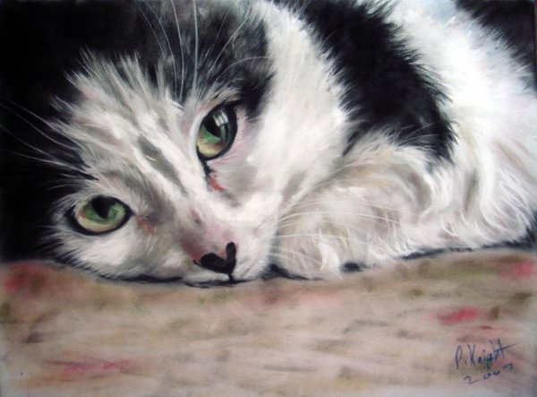 Черный кот пастелью