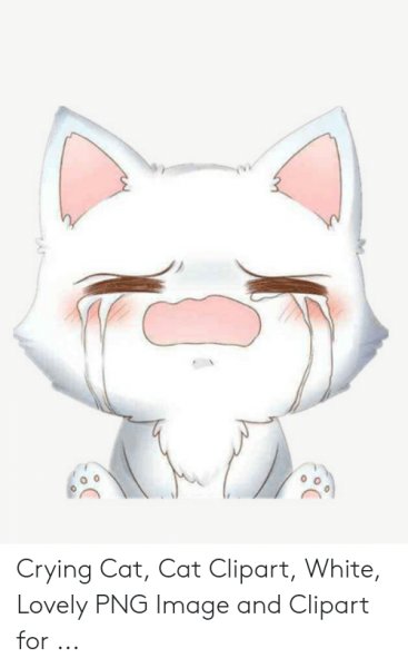 Мультяшный Плачущий котенок