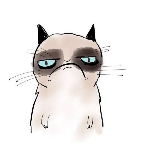Грустный кот