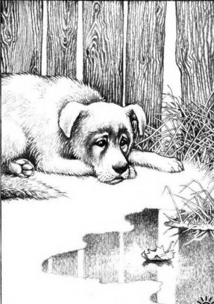 Дворняга иллюстрация