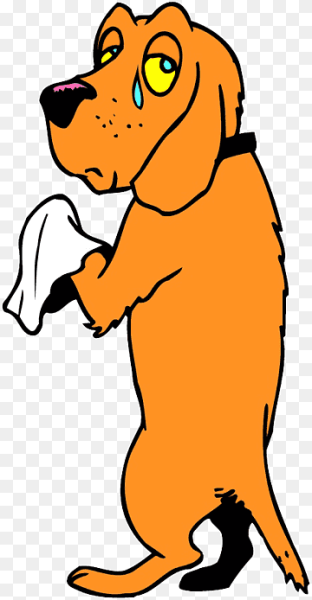 Собака плачет