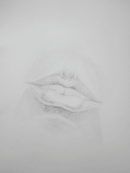 Сомкнутые губы рисунок