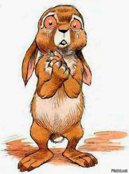 Грустный заяц