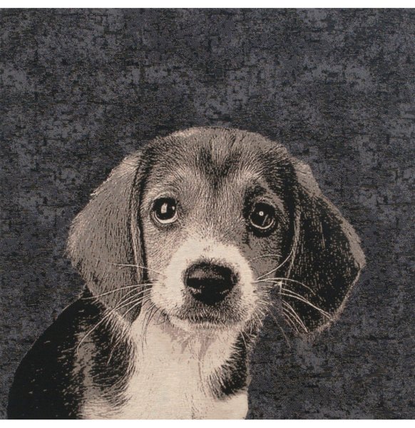 Щенок с грустными глазами