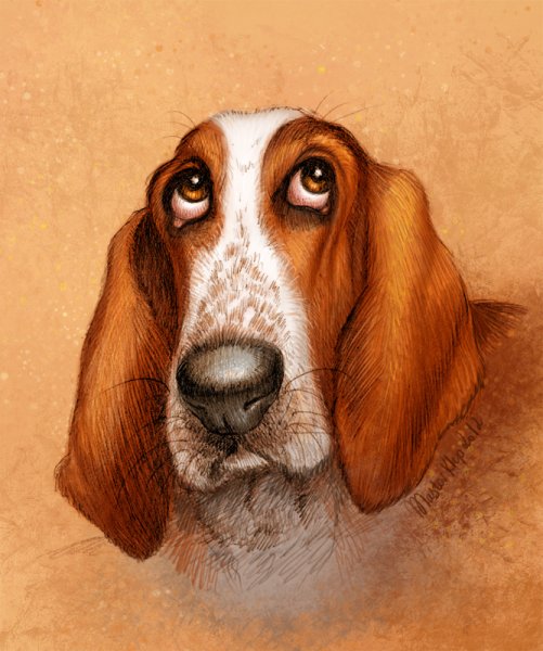 Грустный пес рисунок