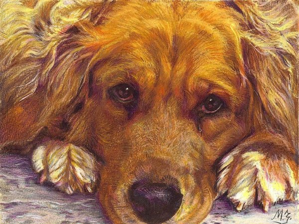 Мария Зельдис собака