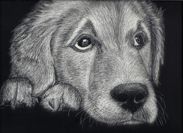 Грустный пес рисунок