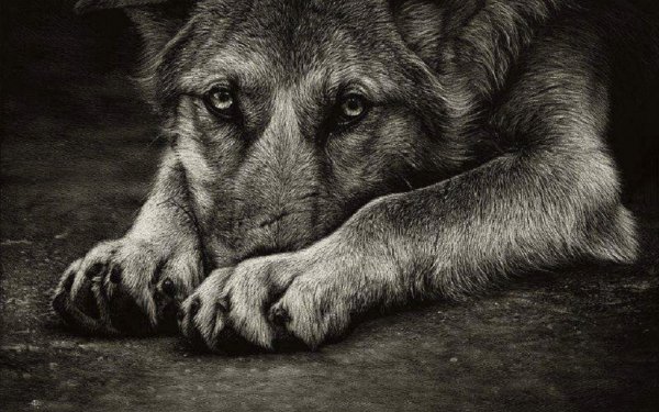 Кристина Пенеску картины