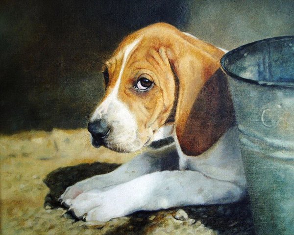 Грустные собаки в живописи