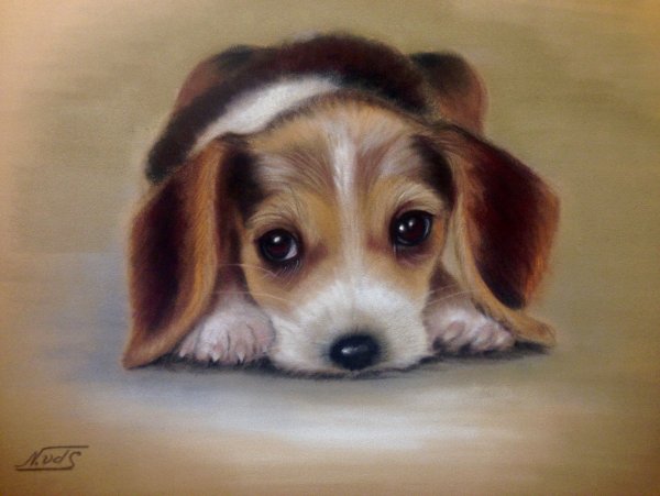 Собака пастелью