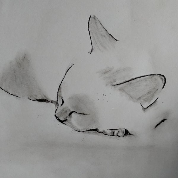 Нарисовать грустную кошку