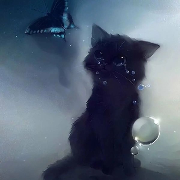 Одинокий кот