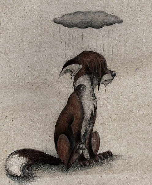 Лисы художницы Skia