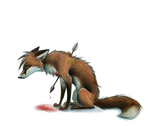 Плачущий Лис