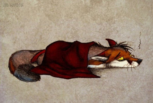 Culpeo Fox любовь