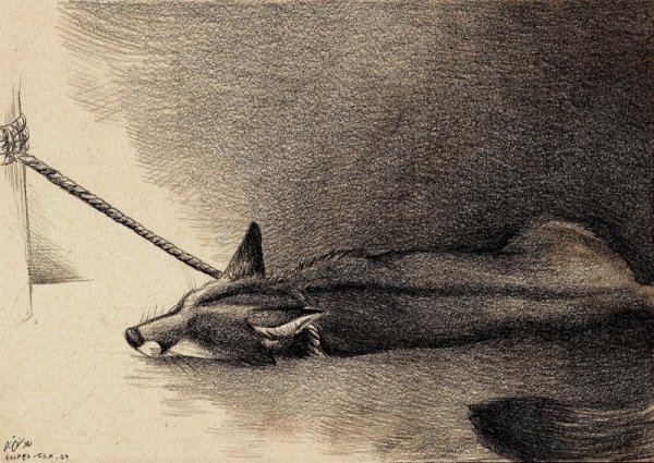 Несчастная лиса