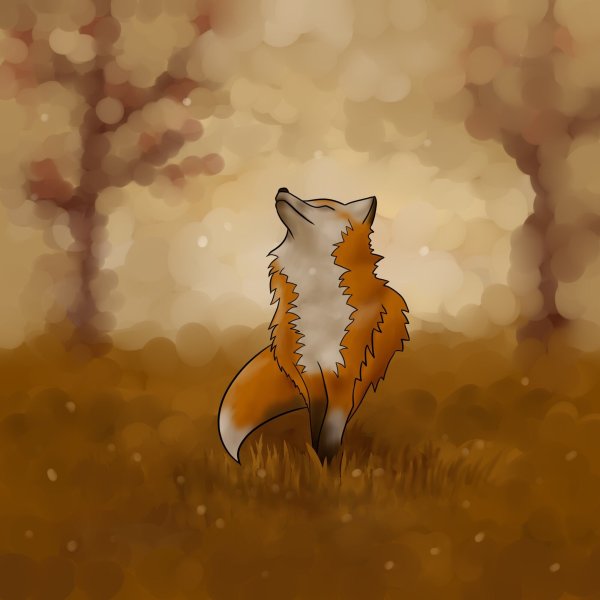 Лиса кульпео Фокс