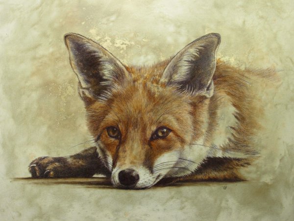 Хитрость арт