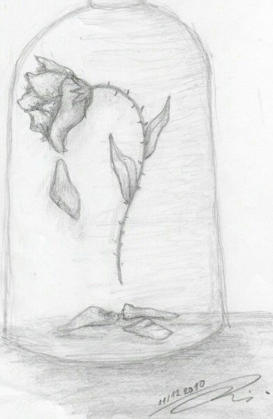 Рисунки карандашом на свободную тему