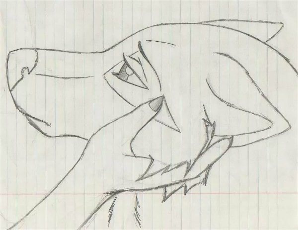 Лёгкие рисунки для срисовки карандашом