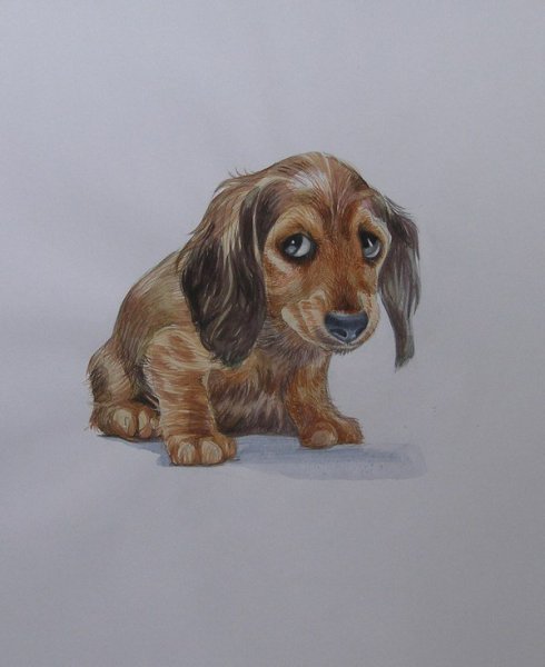 Нарисовать грустную собаку