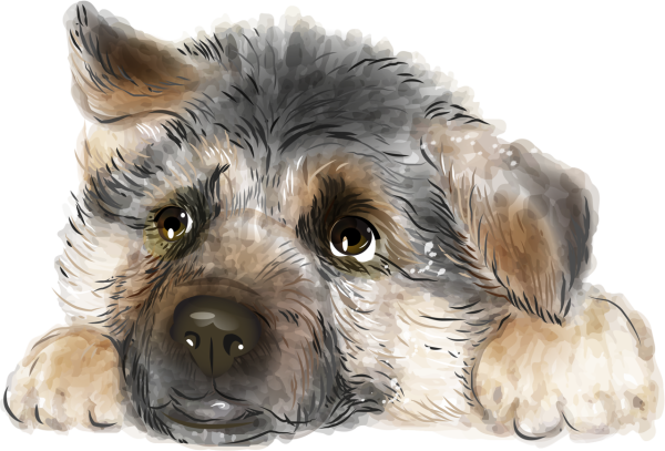 Собака иллюстрация