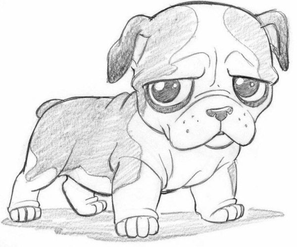 Собака в наушниках рисунок карандашом