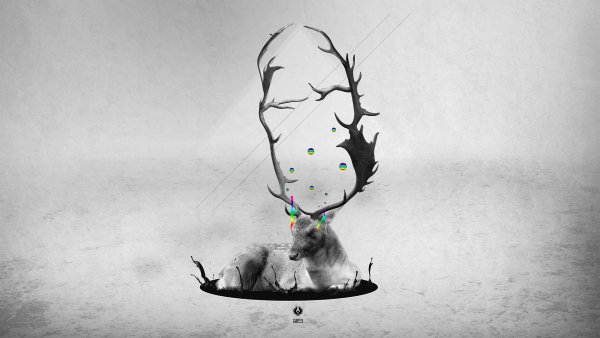 Креативные обои на рабочий стол