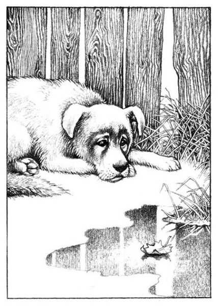 Дворняга иллюстрация