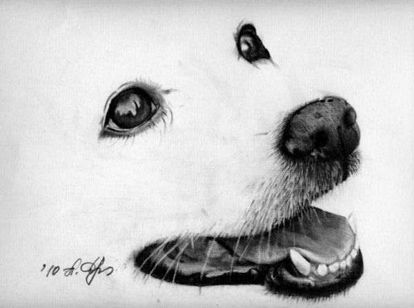 Грустные собаки для срисовки