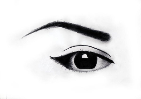 Срисовки глаза и брови легкие