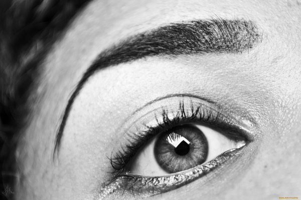 Брови рисунок