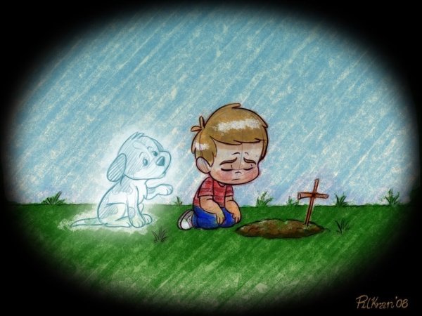 Мальчик у могилы собаки