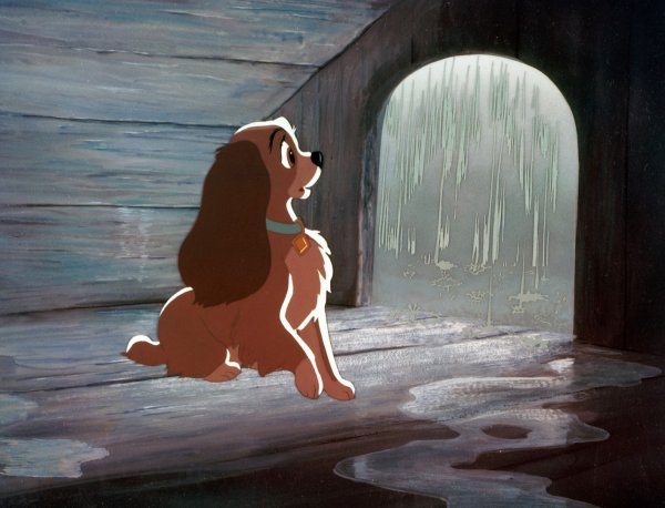 Леди и Бродяга леди грустная