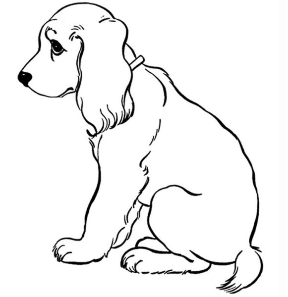 Собака для раскрашивания