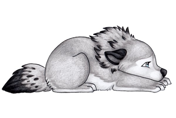 Аниме животные