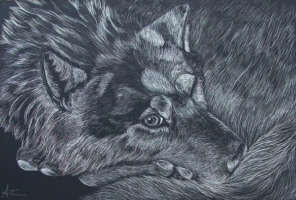 Суровый волк рисунок