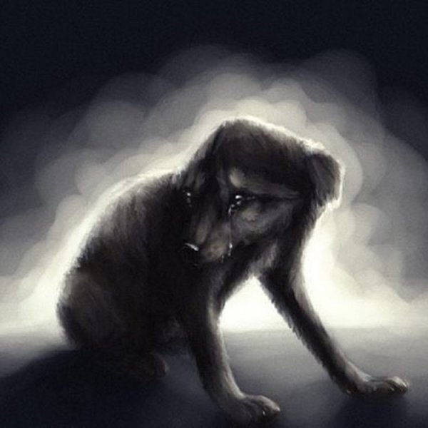 Плачущий волк