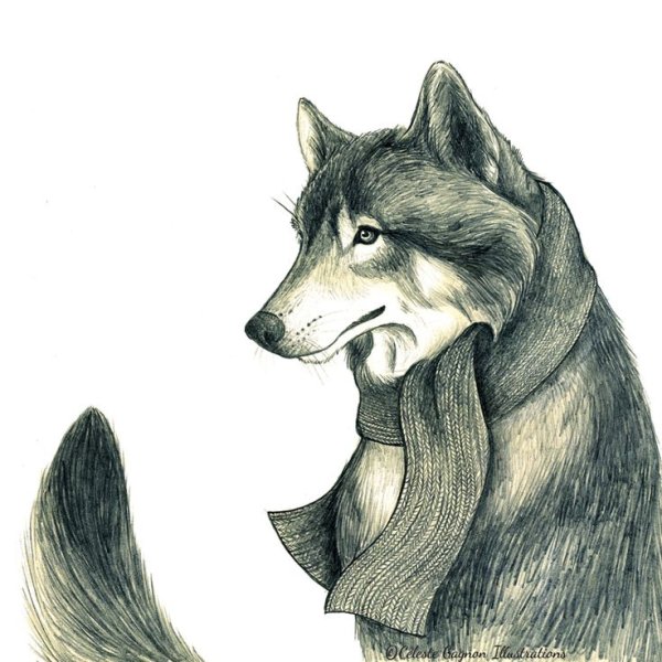 Рисунки карандашом грустные волки