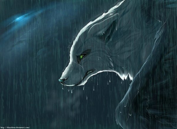 Волк плачет