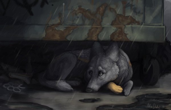 Грустный Волчонок