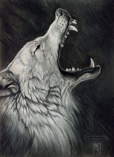 Волк плачет