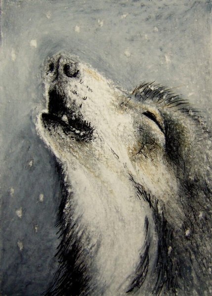 Волк грусть