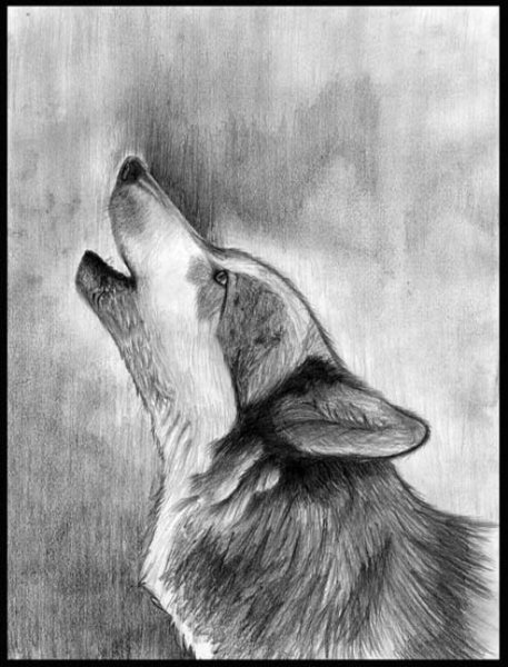 Свободный рисунок карандашом