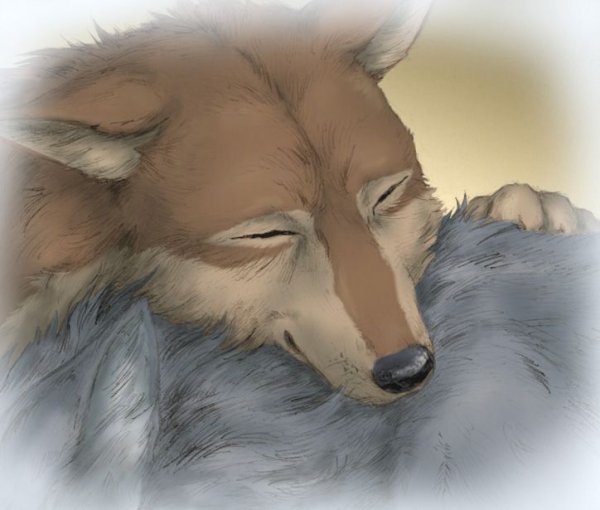 Тобое волк арт