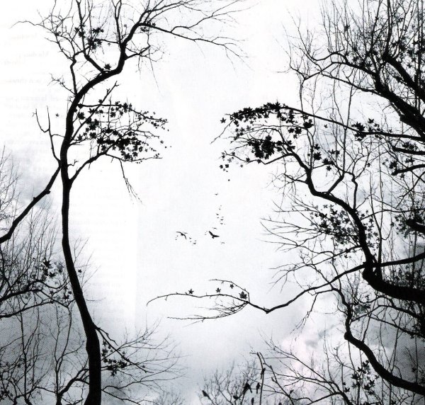 Пейзаж в черно белом цвете