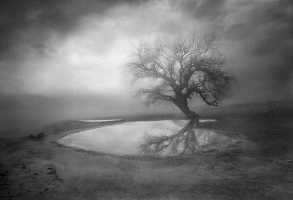 Пейзаж грустный таинственный